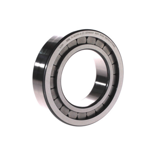 SL182215A INA Cylindrical Roller Bearing Full Complement (75x130x31)