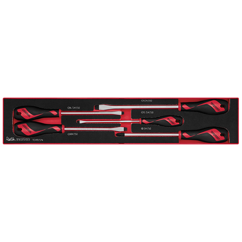 Teng 5Pce MD Screwdriver Set - TEX-TRAY