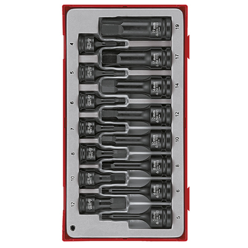 Teng 15Pce 3/8" &1/2" Dr. mm Hex Socket Set - TC-TRAY
