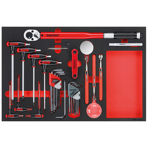 Teng 17Pce Torque Wrench Hex/TX & Insp Tool Set (EVA)