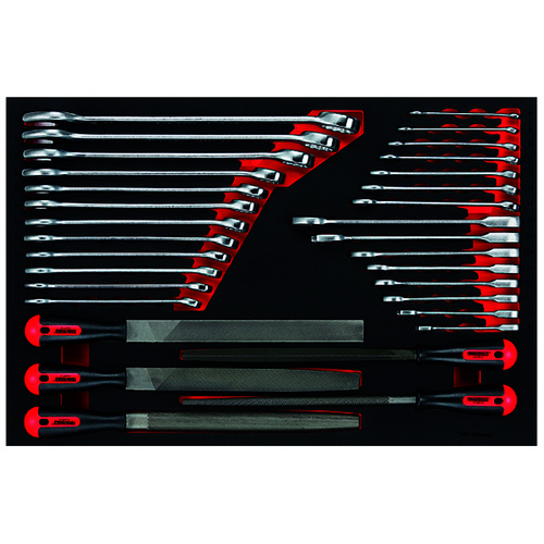 Teng 32Pce Roe Spanner (Std & Rat) & File Set (EVA)