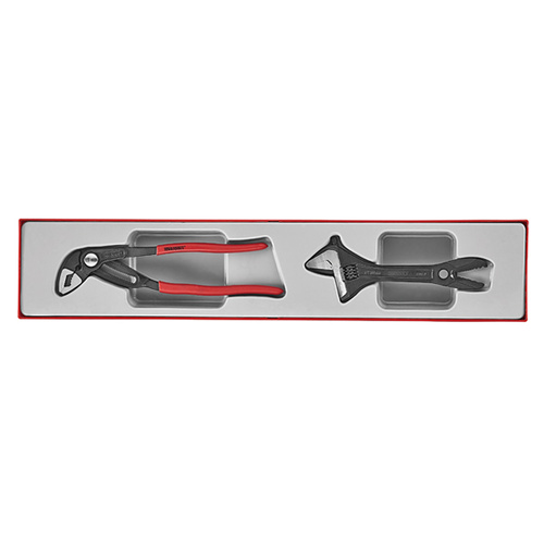 Teng 2Pce Plier/Adjustable Wrench Set - TTX-Tray