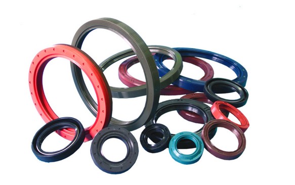 Oil Seals & O Rings